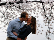 Cherry blossoms reach peak bloom in Washington D.C.