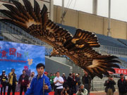 2014 Int'l Kite Festival kicks off in Beijing