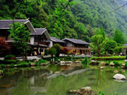 Spring scenery in Zhangjiajie National Forest Park