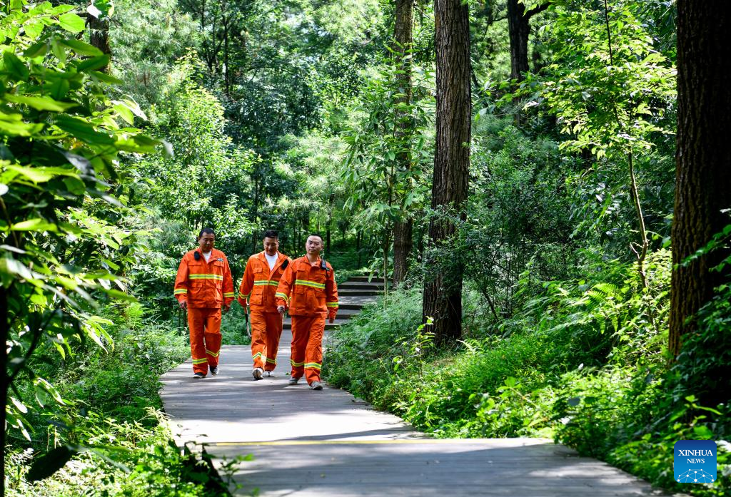 Changpoling National Forest Park in SW China attracts visitors to come