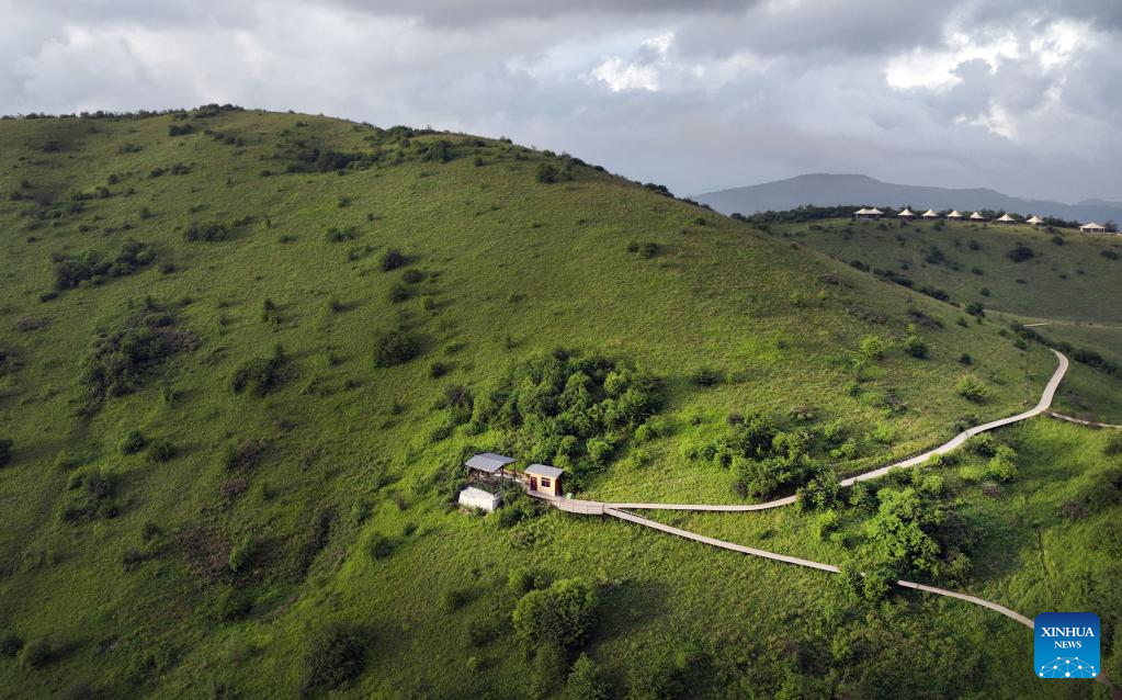 Grassland scenery of Bashan Mountain in Langao County, Shaanxi