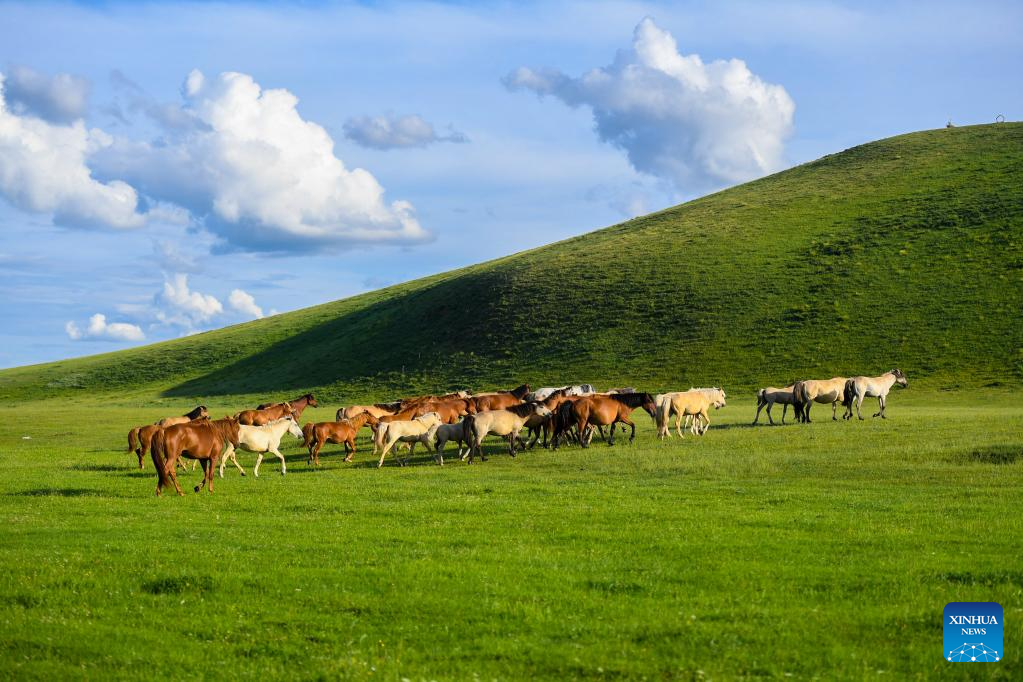 Scenery of grassland in N China's Inner Mongolia